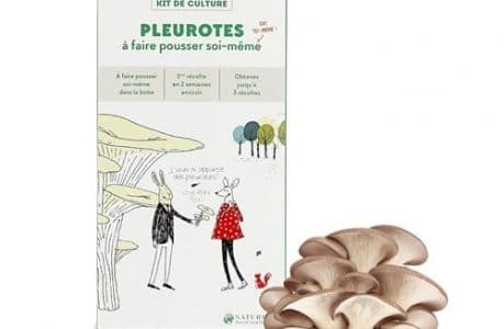 Kit pour faire pousser des pleurotes, 19,95€ Kit pour faire pousser des pleurotes, 19,95€