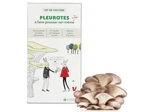 Kit pour faire pousser des pleurotes, 19,95€