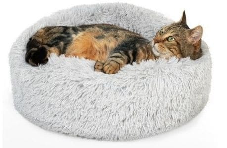 panier-chat-black-friday panier-chat-black-friday