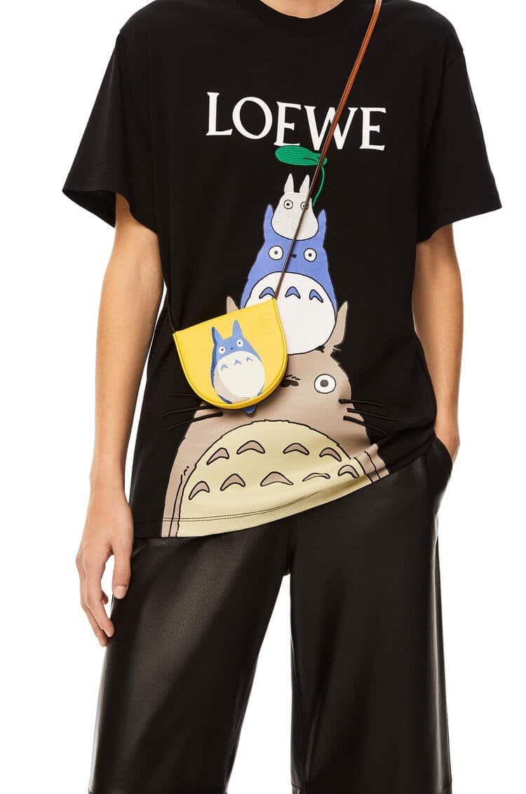 loewe expansive collection4