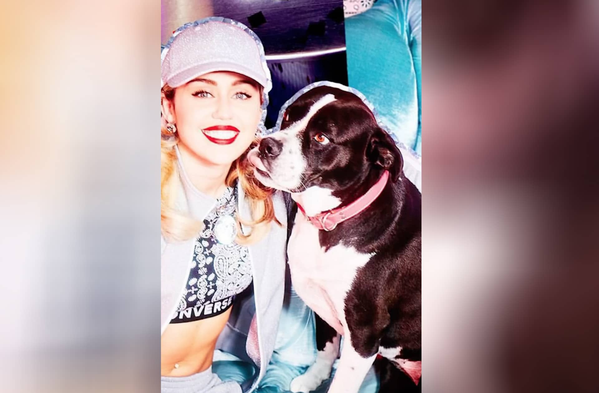 Miley Cyrus Sort Mary Jane 5evr Un Single En Hommage à Son Chien Décédé