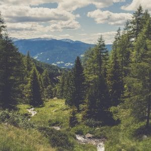 Quel personnage du Loup-Garou êtes-vous ? Faites le test !