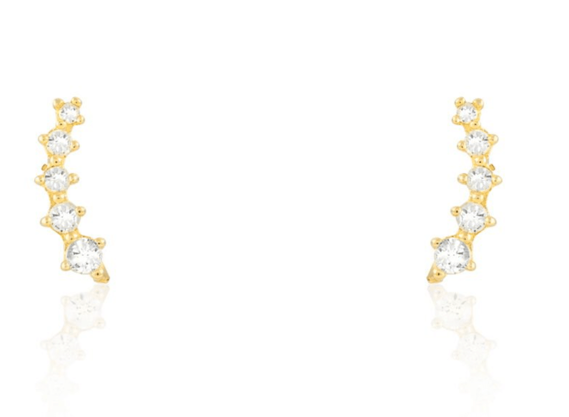 puces-doreilles-histoire-dor