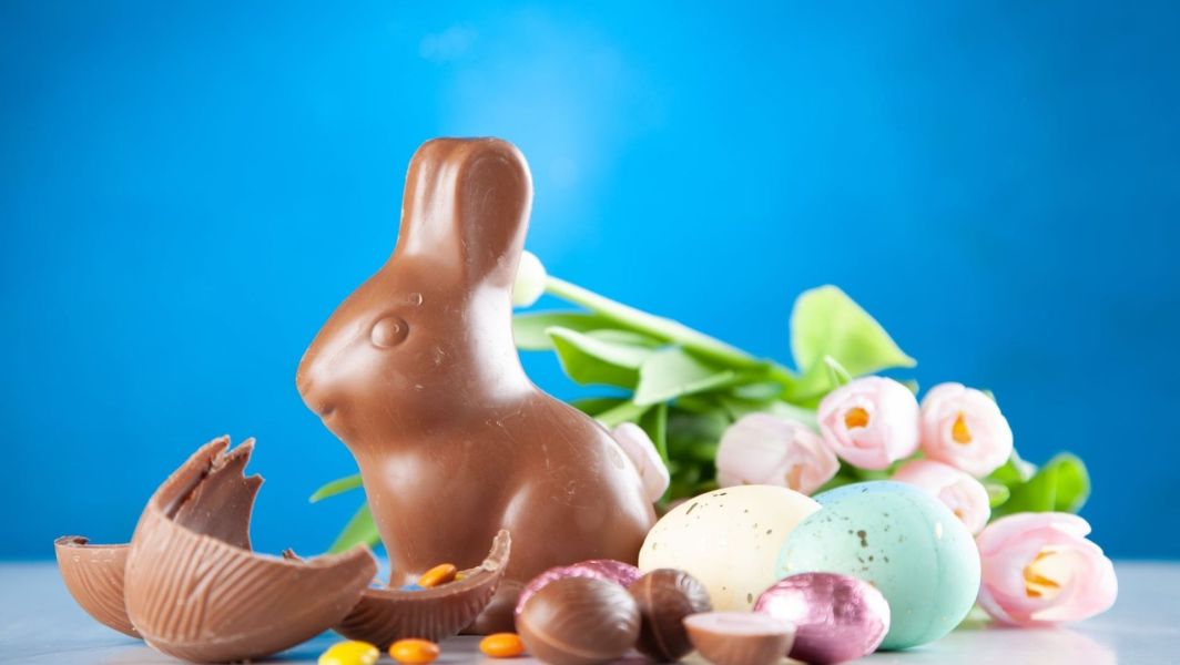 lapin-chocolat-paques