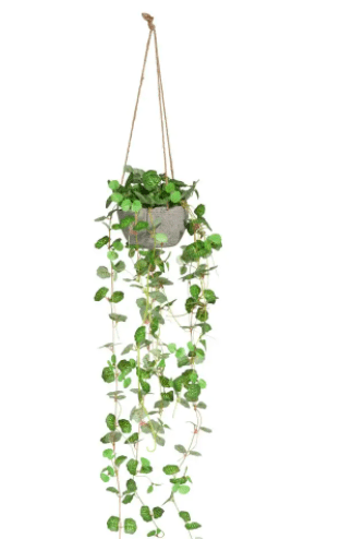 Capture d’écran 2021-04-07 à 15.03.50