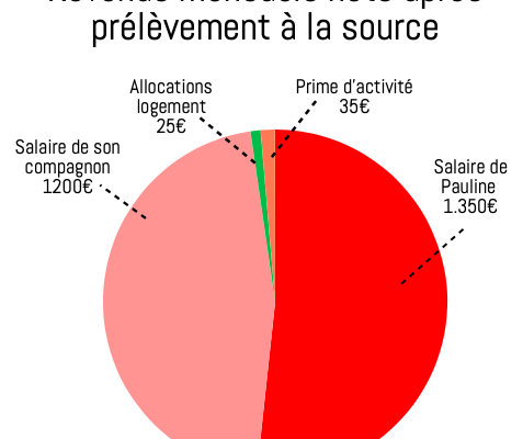 Graphique camembert détaillant les revenus de Pauline et de son compagnon Graphique camembert détaillant les revenus de Pauline et de son compagnon