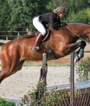 La cavalière Amélie Quéguiner lors d'une course de saut d'obstacles