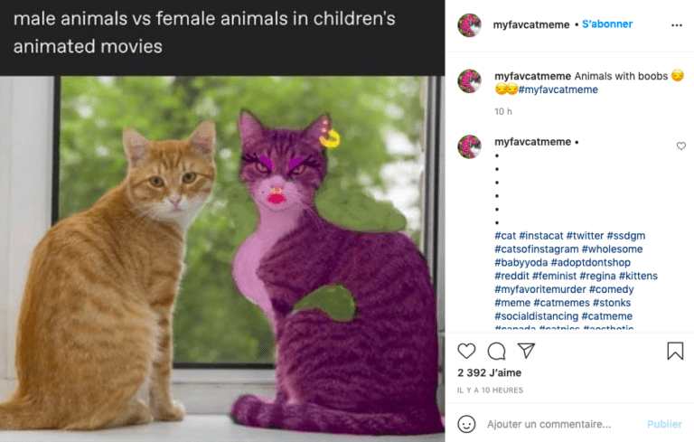 @myfavcatmeme @myfavcatmeme