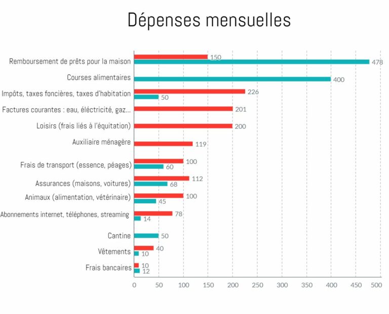 depenses_mensuelles_BON depenses_mensuelles_BON