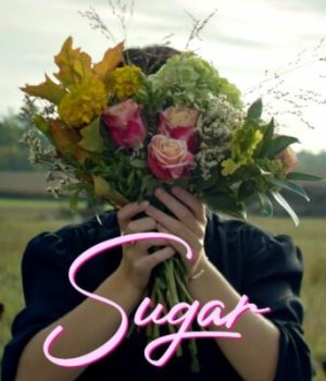 sugar nina robert documentaire