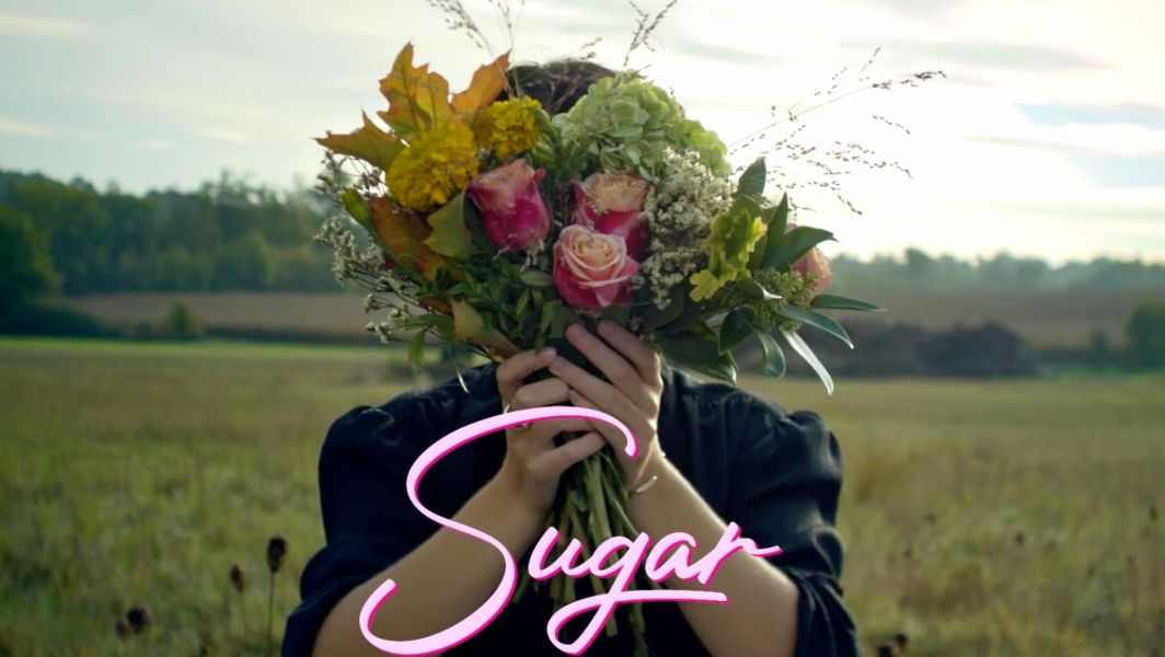sugar nina robert documentaire