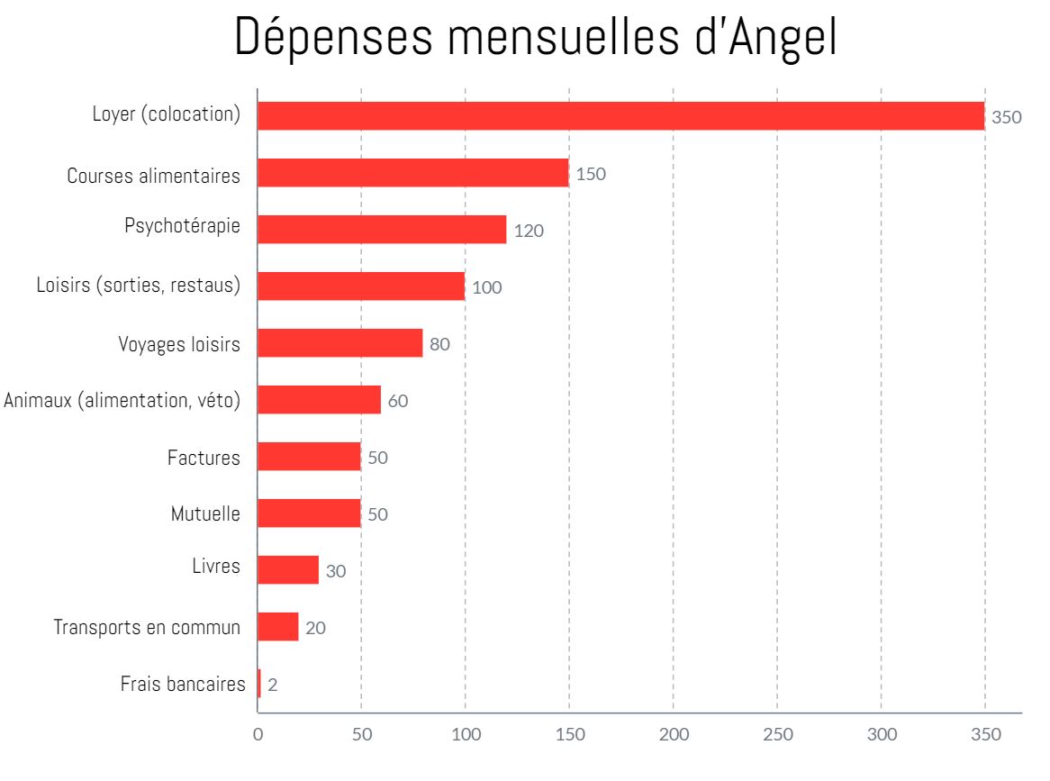 depenses_mensuelles_angel