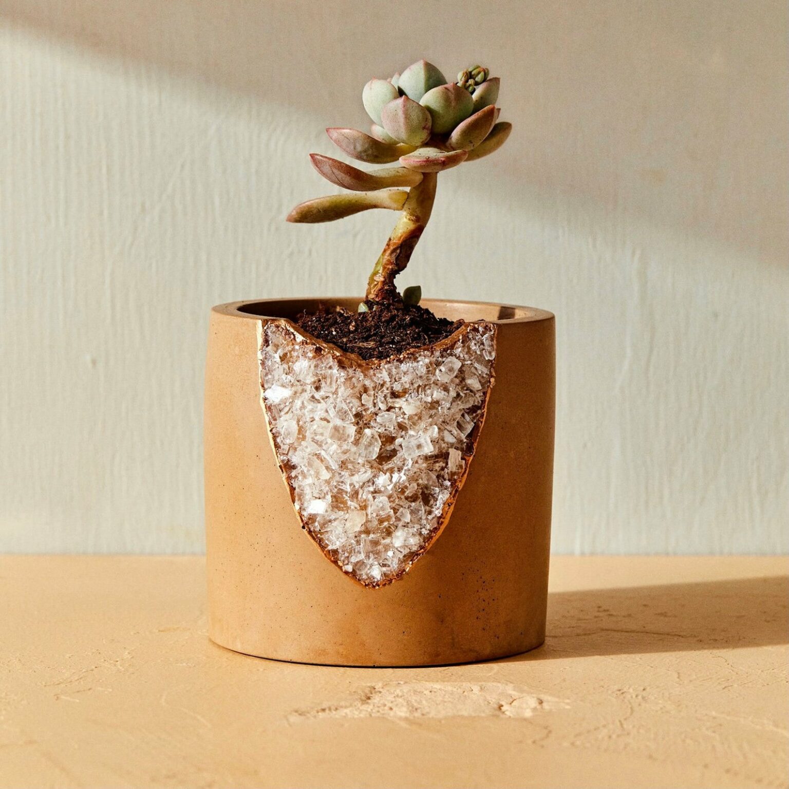 Cache-pot réalisé à la main, en ciment, décoré d'une fissure ornée de minéraux bruts naturels, talandbert, 72,51€. Cache-pot réalisé à la main, en ciment, décoré d'une fissure ornée de minéraux bruts naturels, talandbert, 72,51€.