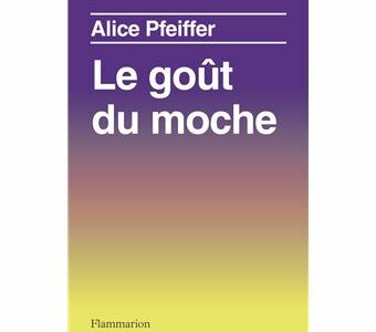 Le Goût du moche, Alice Pfeiffer, 18€ à la Fnac et en librairies Le Goût du moche, Alice Pfeiffer, 18€ à la Fnac et en librairies