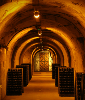 visite virtuelle des caves à champagne Taittinger