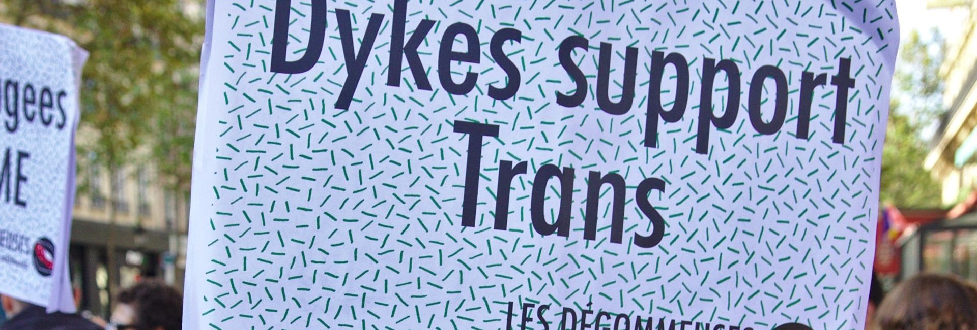 dykes support trans – les degommeuses – CC-BY Missbutterfly