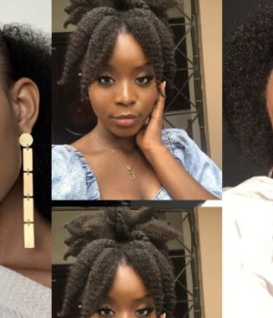 tendances-2021-coiffures-afro