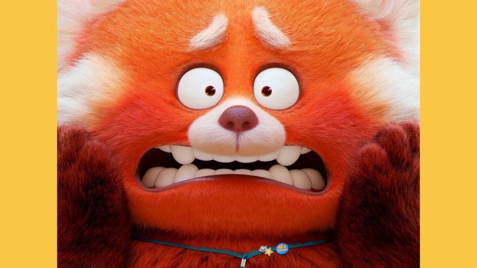 Une ado qui se transforme en panda roux ? OK, Pixar, bien joué, on veut ...