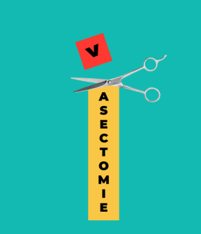 vasectomie-verticale