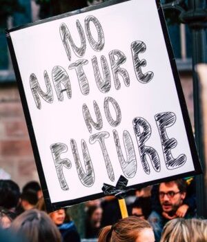 no-nature-no-future-smol