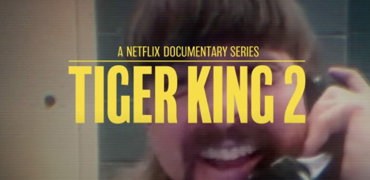 Netflix Tiger King