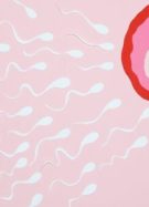 Covid-ivermectine-spermatozoïdes-fertilité