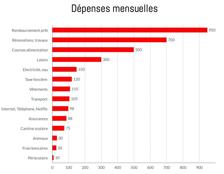 Un graphique détaillant les dépenses mensuelles de la famille