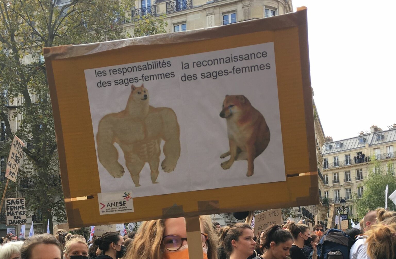 meme – manifestation sages femmes 7 octobre 2021 – Maelle LeCorre.jpg meme – manifestation sages femmes 7 octobre 2021 – Maelle LeCorre.jpg