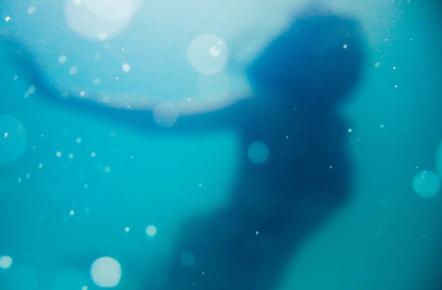 nsey-benajah-unsplash-sirene nsey-benajah-unsplash-sirene