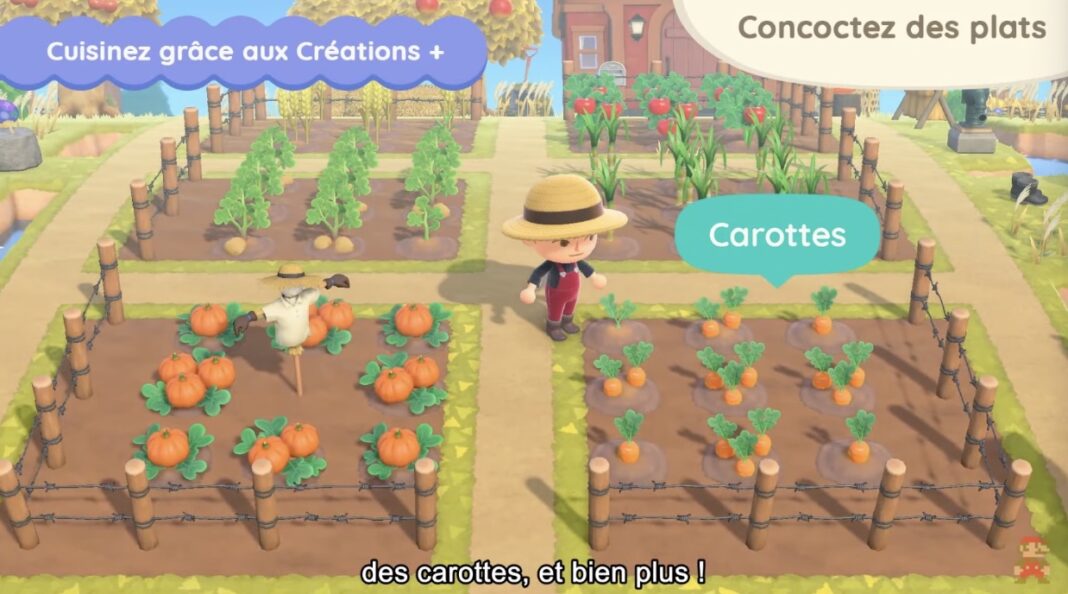 potager-animal-crossing potager-animal-crossing