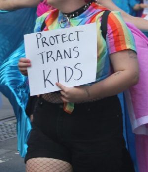 quinn dombrowski – flickr – protect trans kids