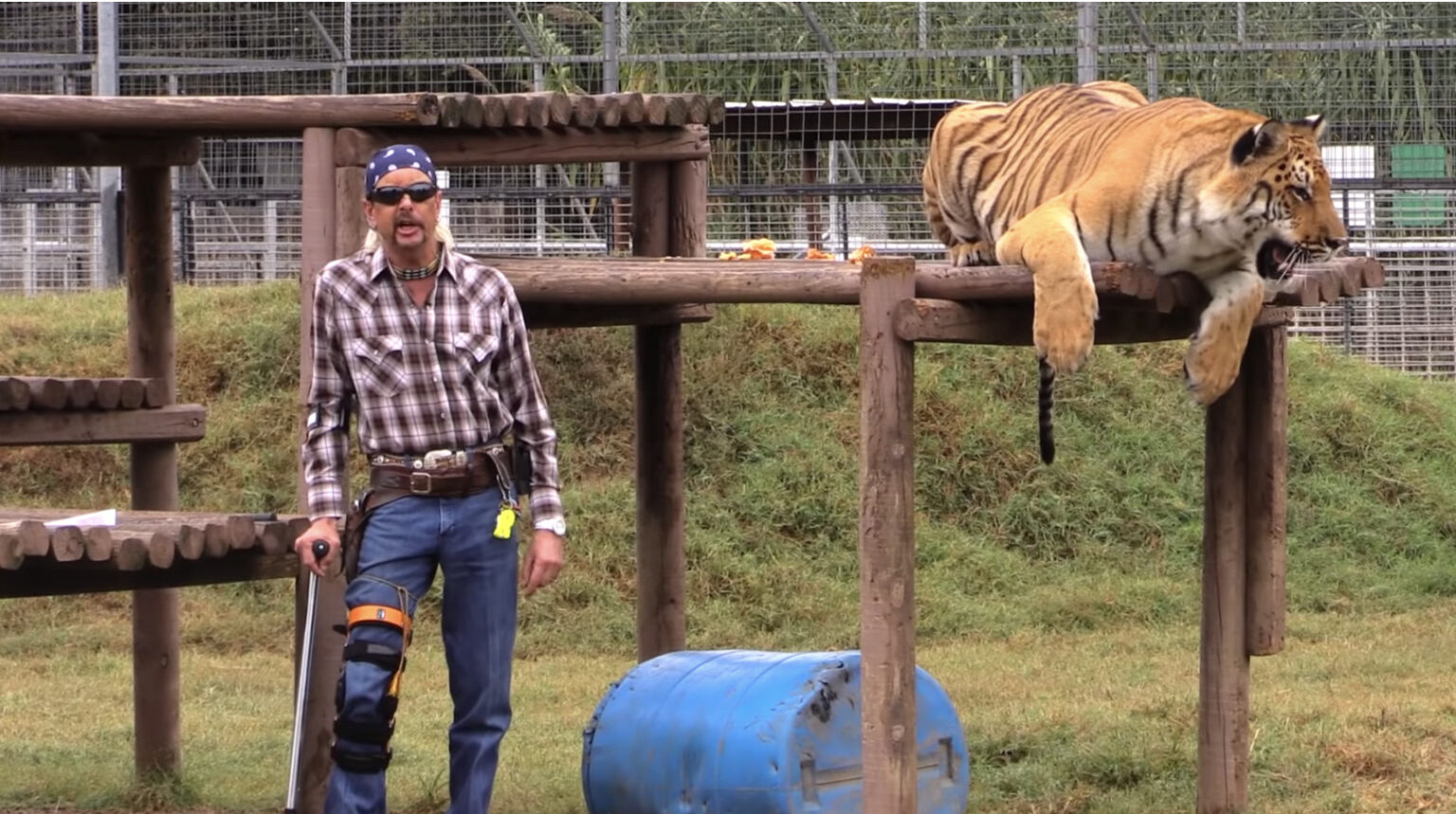 tiger-king-netflix-2-1586469066 tiger-king-netflix-2-1586469066