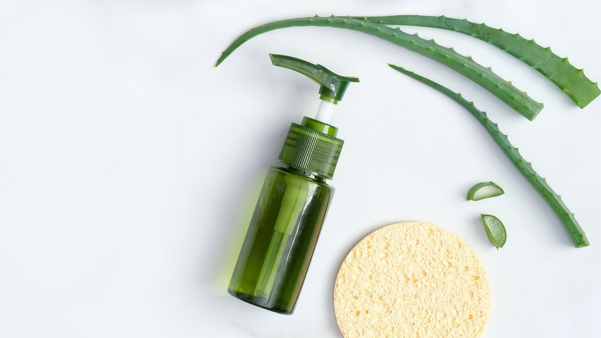 aloe-vera-beaute-peau