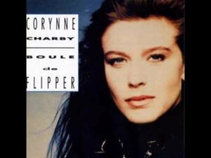 boule-de-flipper boule-de-flipper