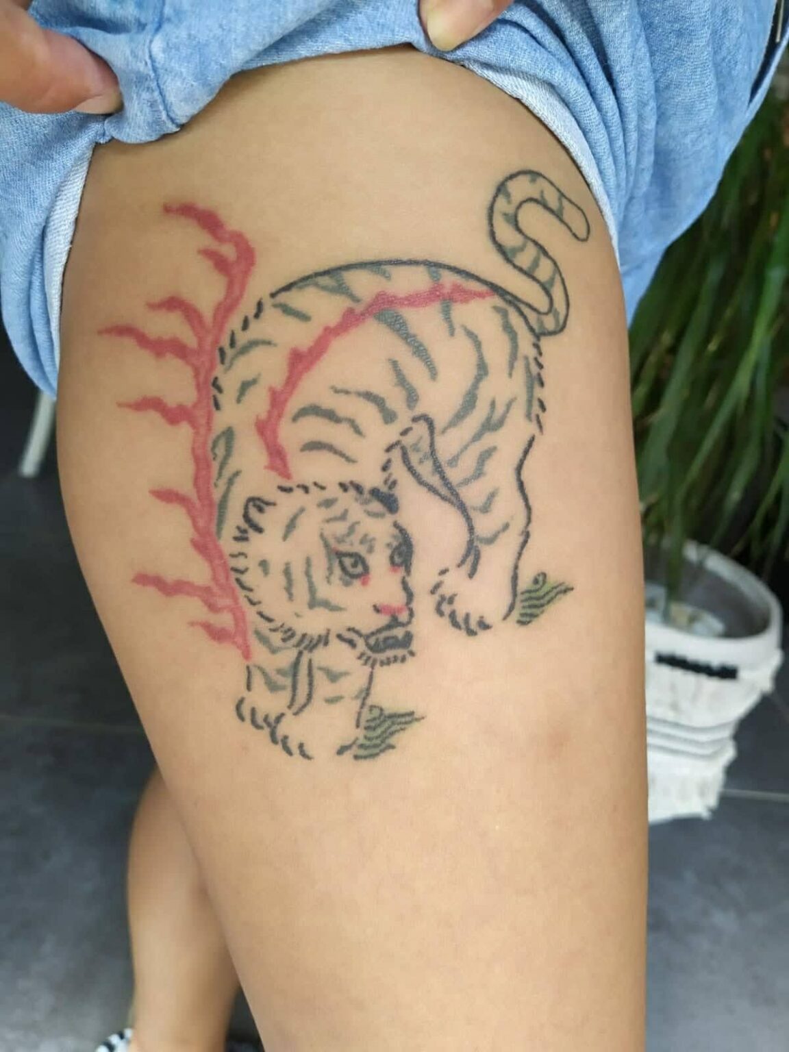 joohee-tigre joohee-tigre