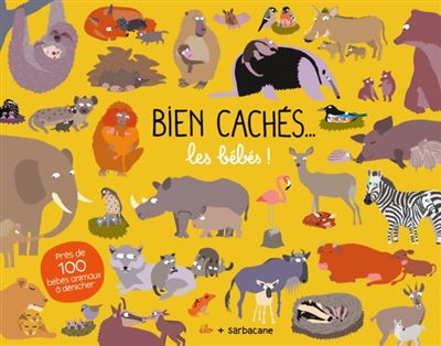 Bien-caches-les-bebes