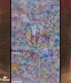 Portraits de troubles mentaux sur TikTok Portraits de troubles mentaux sur TikTok