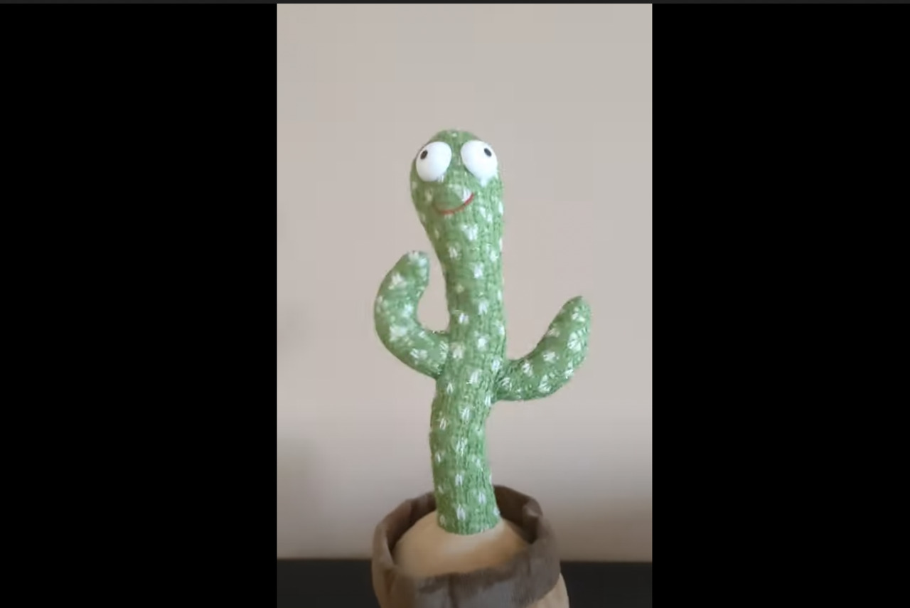 cactus