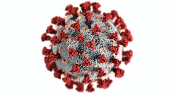 Image du virus COVID 