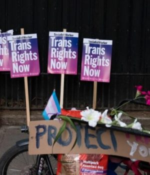 trans-rights-now