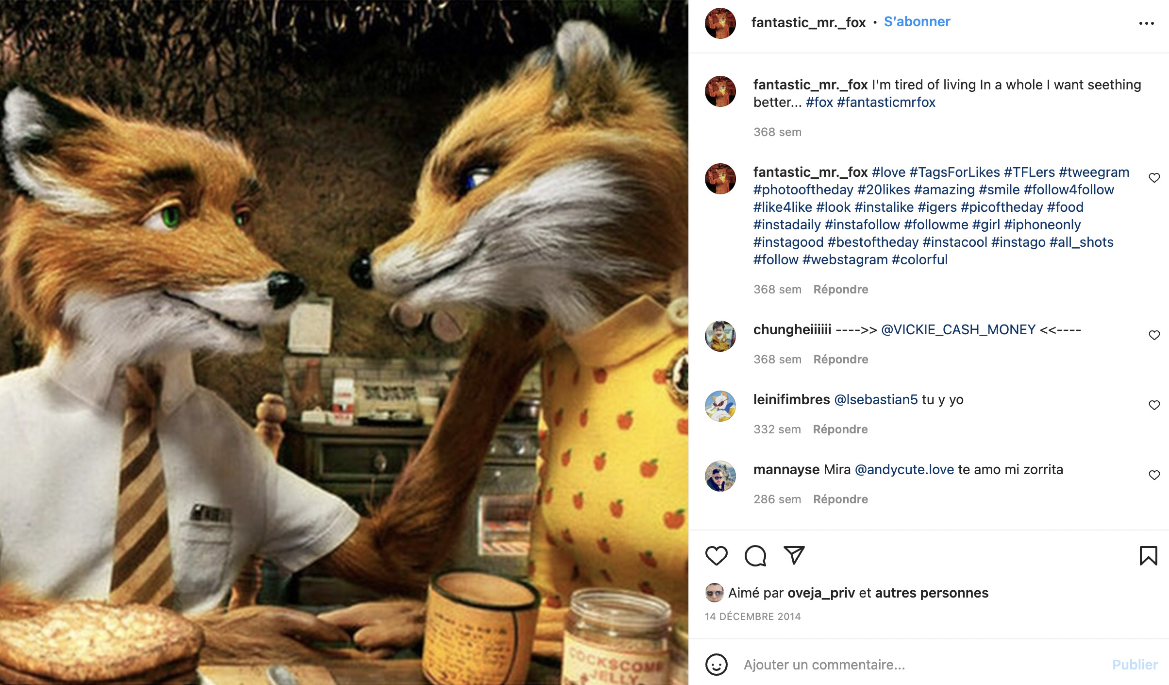 Mr Fox