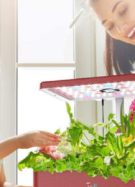Site-web-Visuel-horizontal-2-7