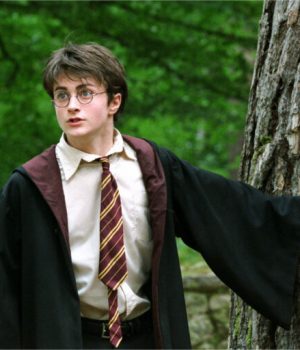 VIDEO_Harry_Potter