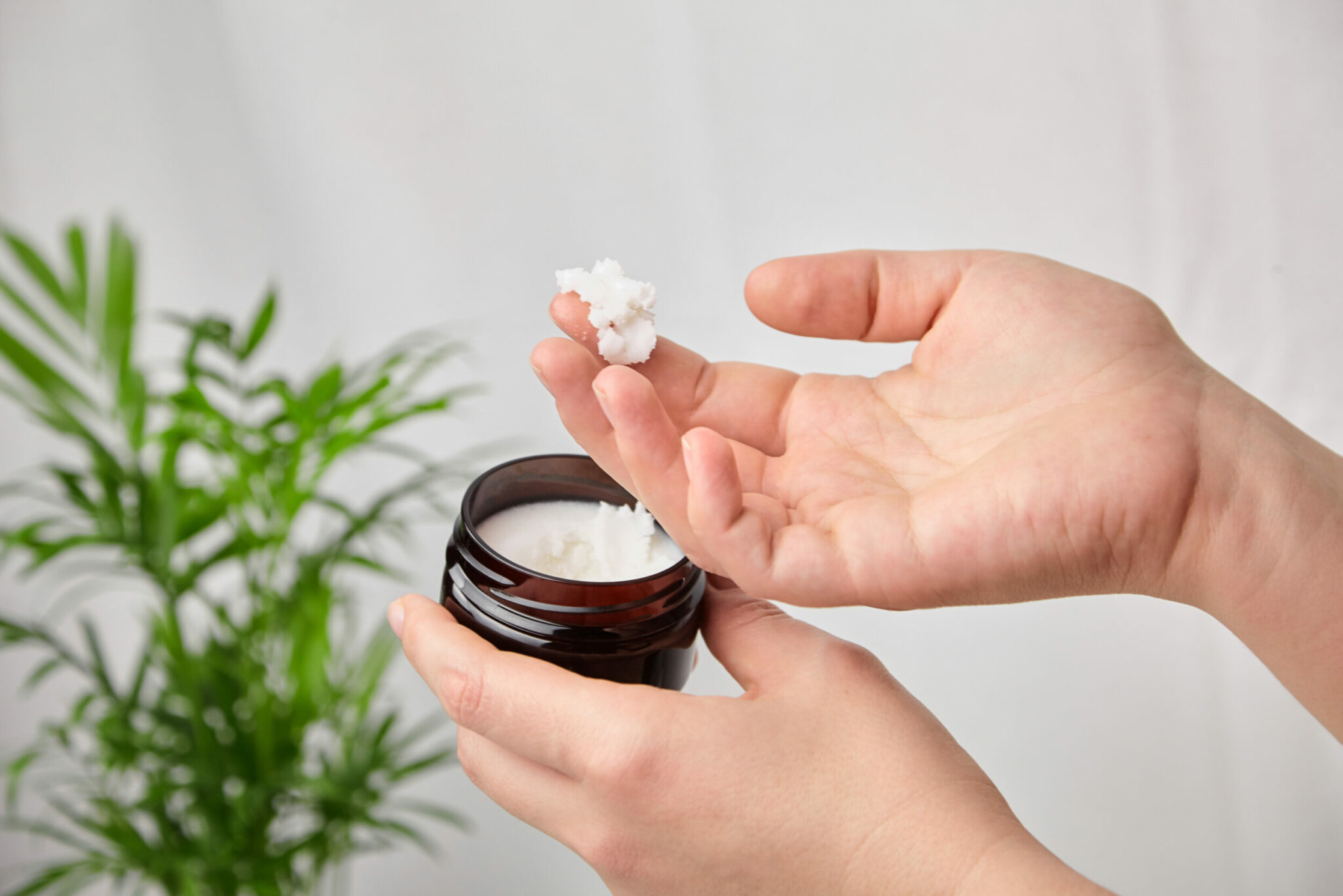 Shea butter in jar, cosmetic product for moisturizing skin and hair. Female hand holds container with white anti-aging smoothing and soothing cream Shea butter in jar, cosmetic product for moisturizing skin and hair. Female hand holds container with white anti-aging smoothing and soothing cream