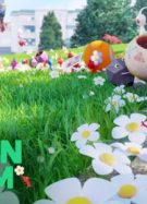 pikmin-bloom-culture-g-nintendo
