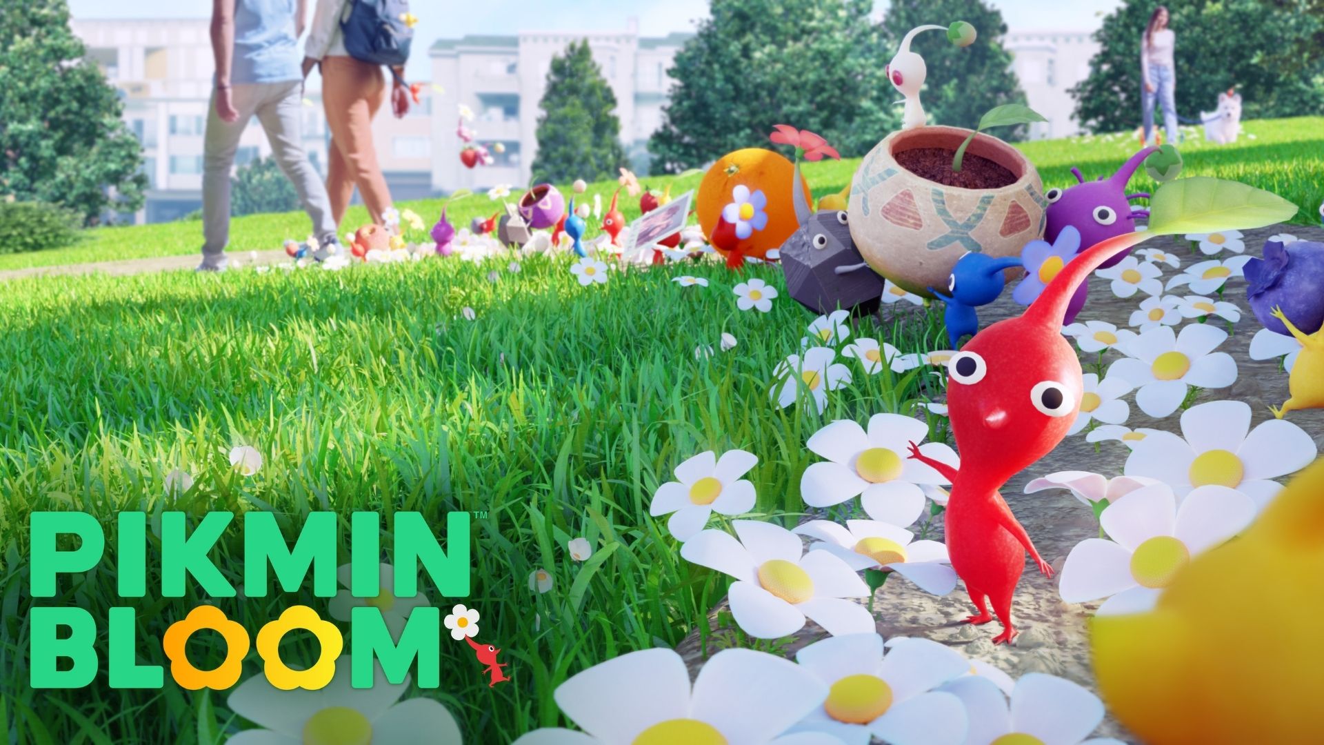 pikmin-bloom-culture-g-nintendo