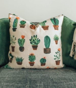 coussin-cactus