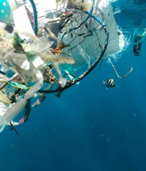 Pollution plastique dans les océans // Source : Naja Bertolt Jensen