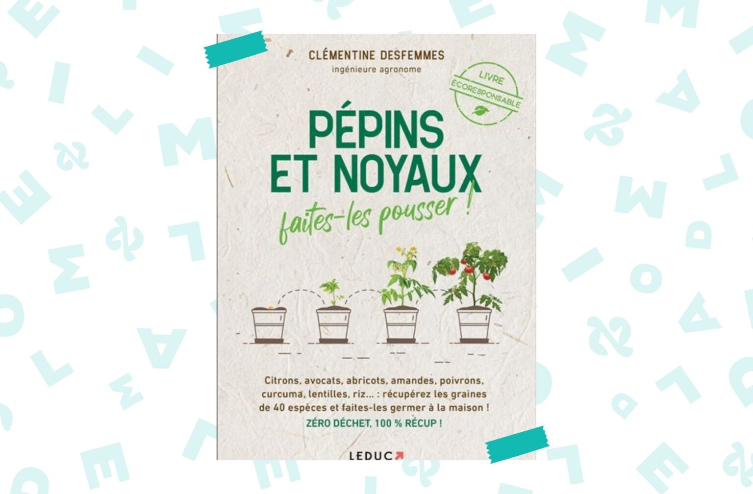 pepins-noyaux pepins-noyaux