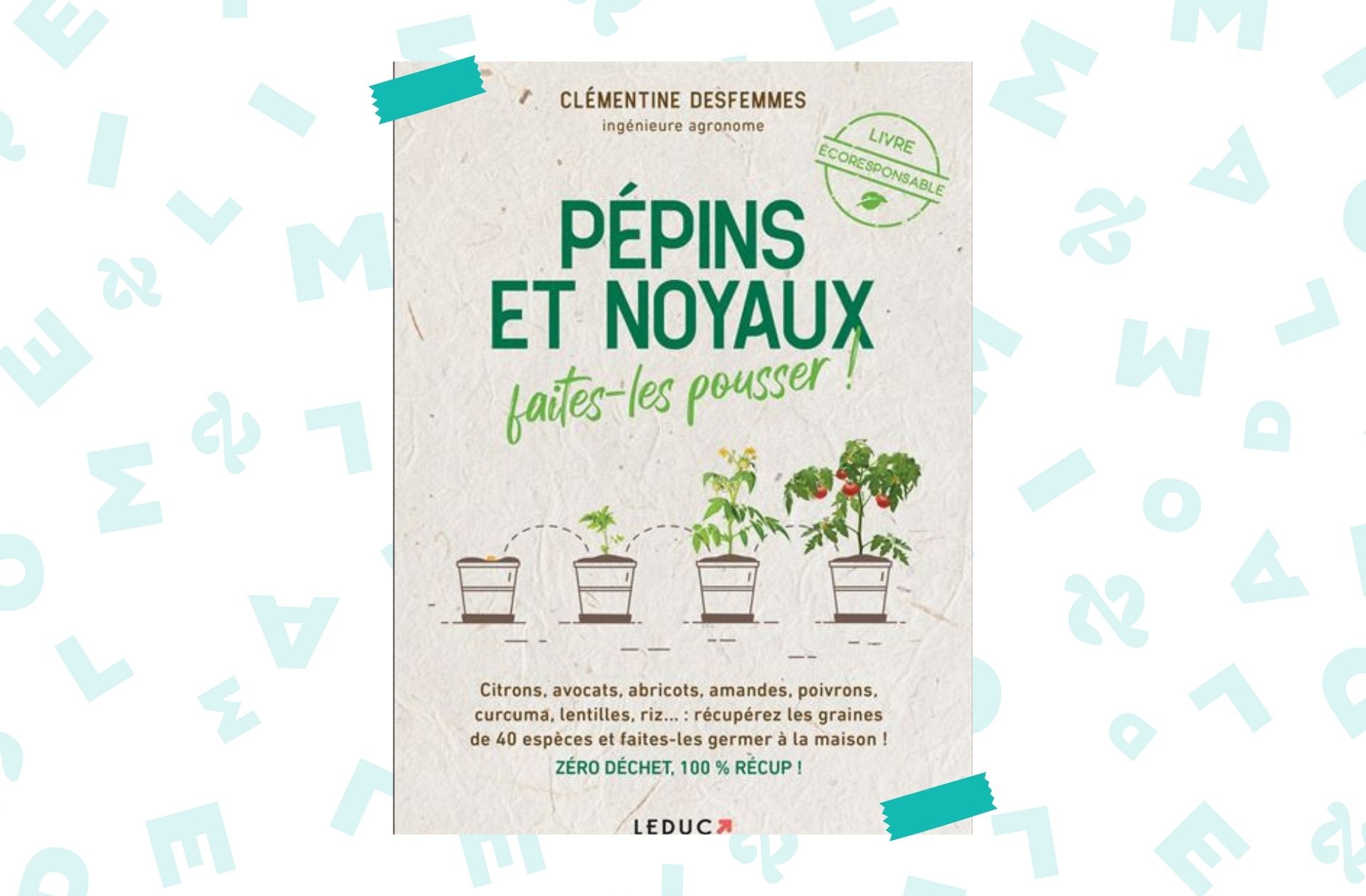 pepins-noyaux